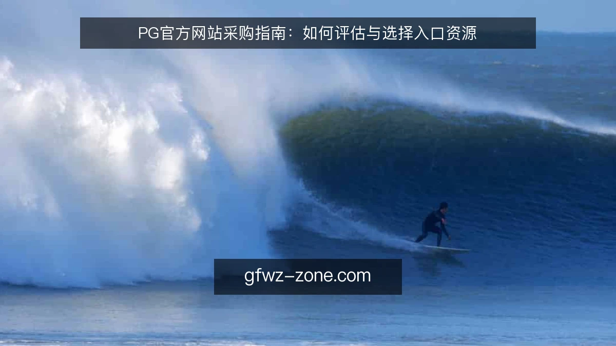 PG官方网站采购指南：如何评估与选择入口资源