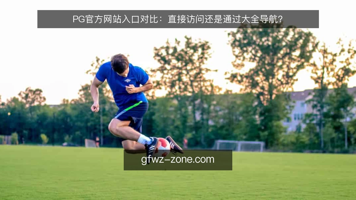 PG官方网站入口对比：直接访问还是通过大全导航？