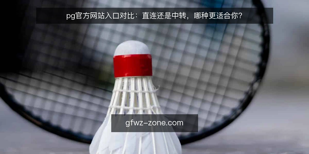 pg官方网站入口对比：直连还是中转，哪种更适合你？ — 场景设定：访问pg官方网站的两种入口需求 配图