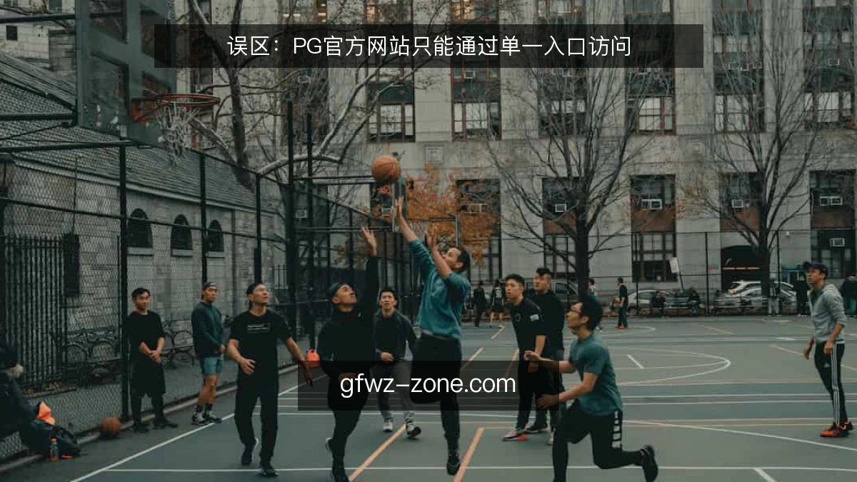 误区：PG官方网站只能通过单一入口访问