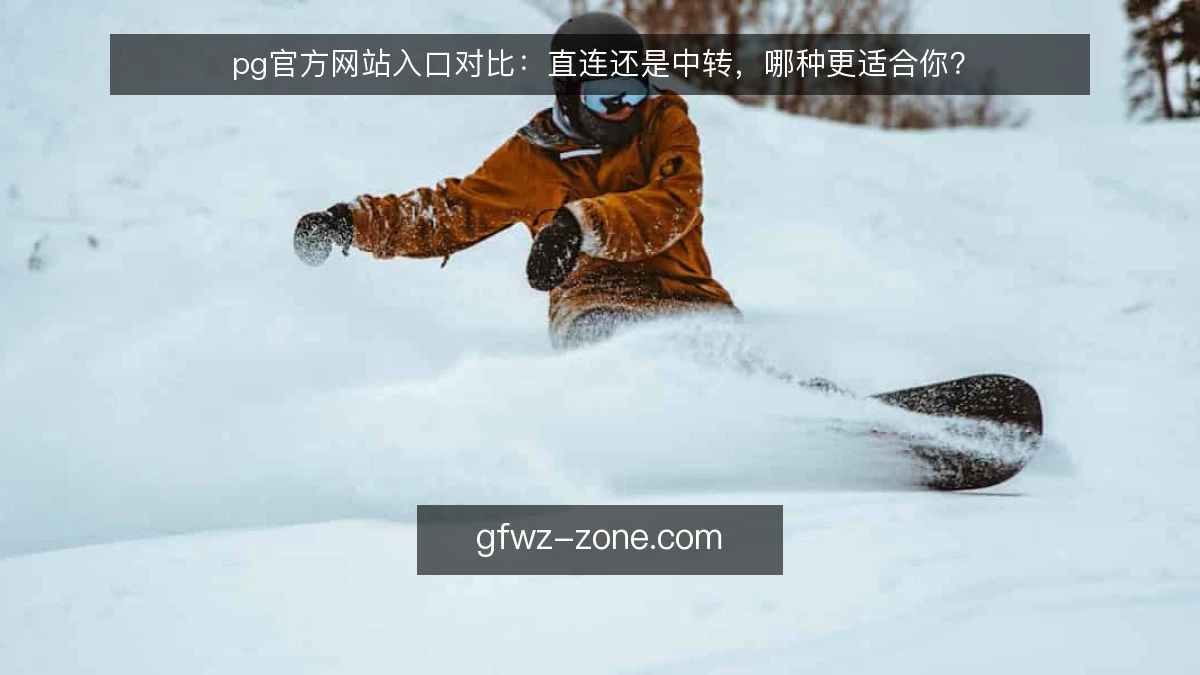pg官方网站入口对比：直连还是中转，哪种更适合你？