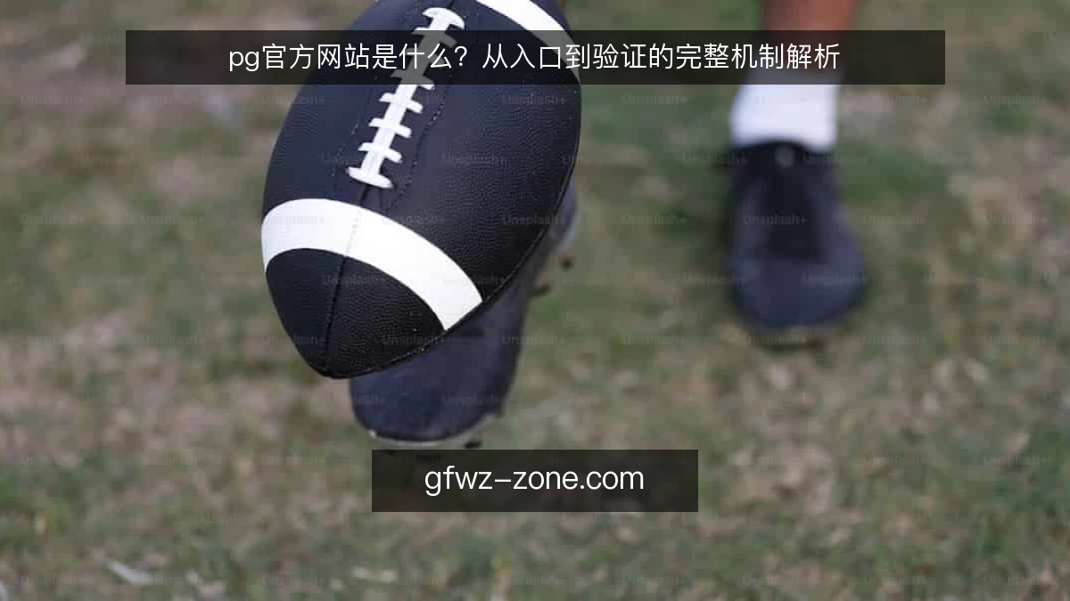 pg官方网站是什么？从入口到验证的完整机制解析