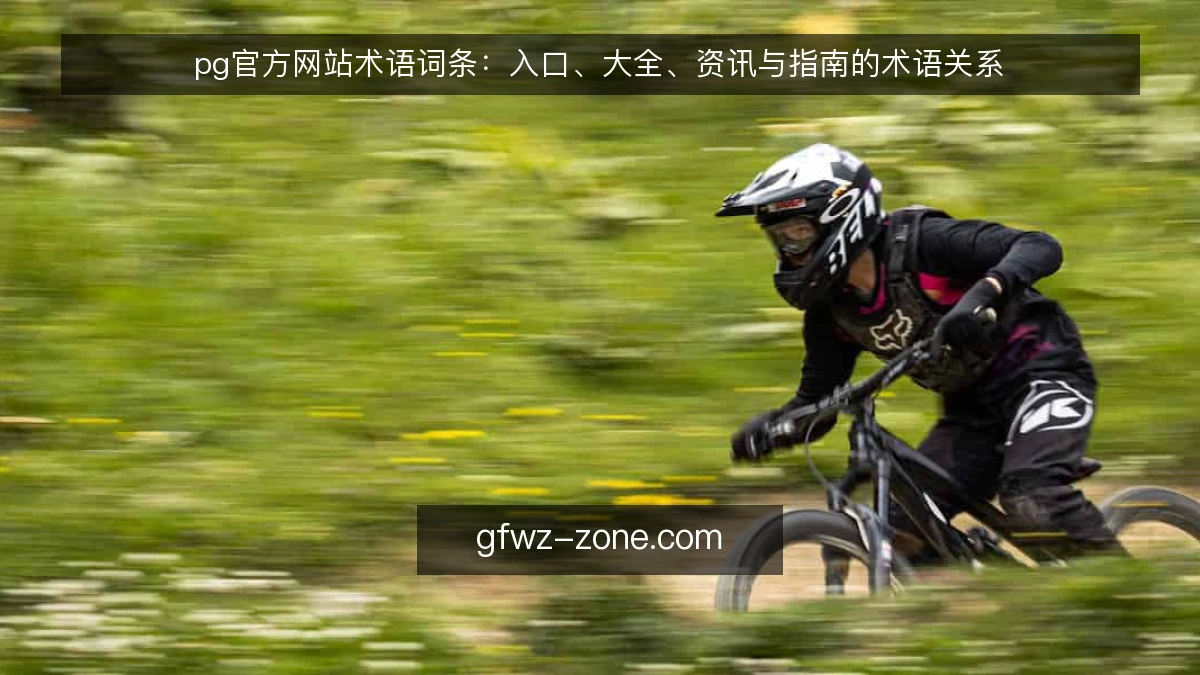 pg官方网站术语词条：入口、大全、资讯与指南的术语关系