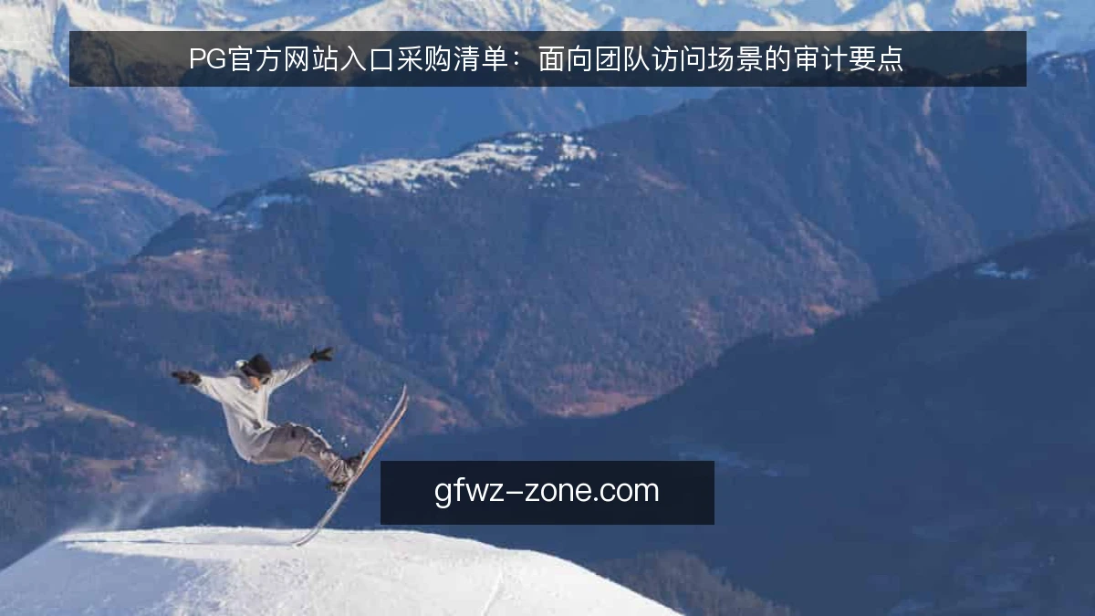 PG官方网站入口采购清单:面向团队访问场景的审计要点